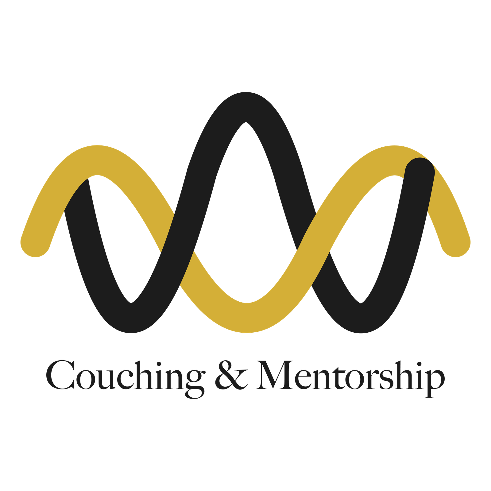 WM Couching & Mentorship